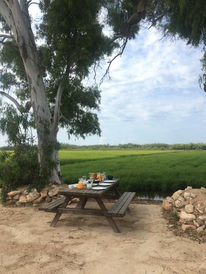 Mas Dels Bonos Guest House Deltebre Ngoại thất bức ảnh