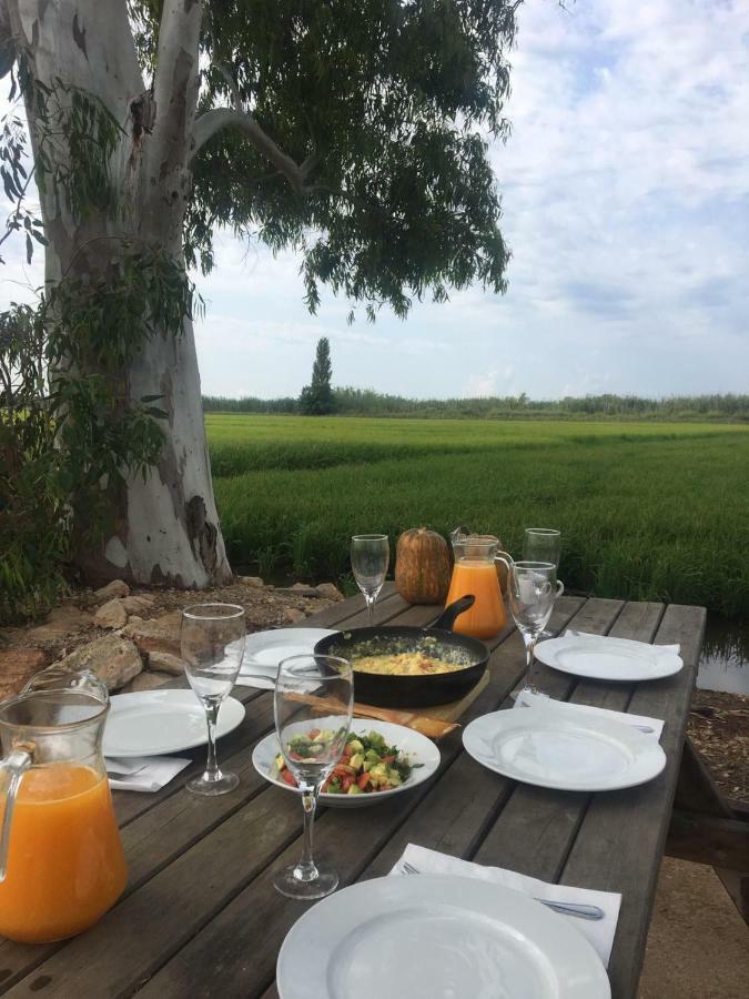 Mas Dels Bonos Guest House Deltebre Ngoại thất bức ảnh